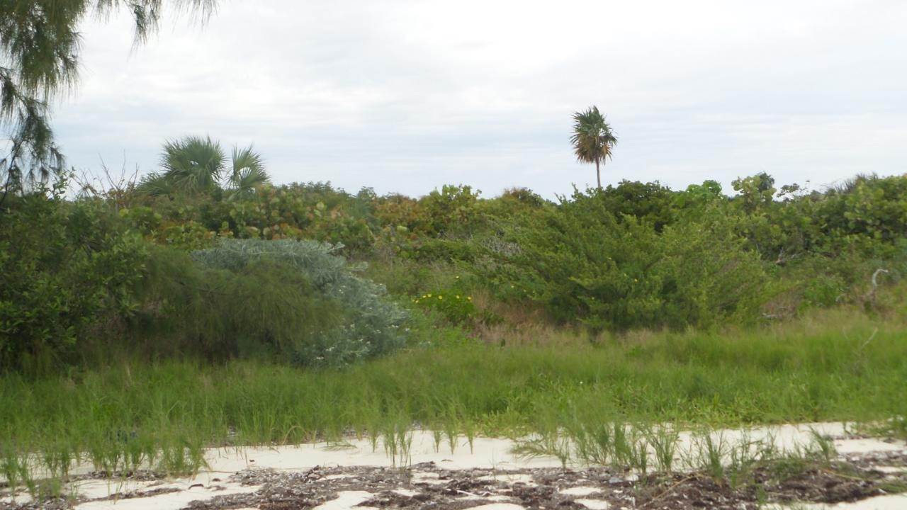 11. Private Islands for Sale at Abaco, Abaco Bahamas