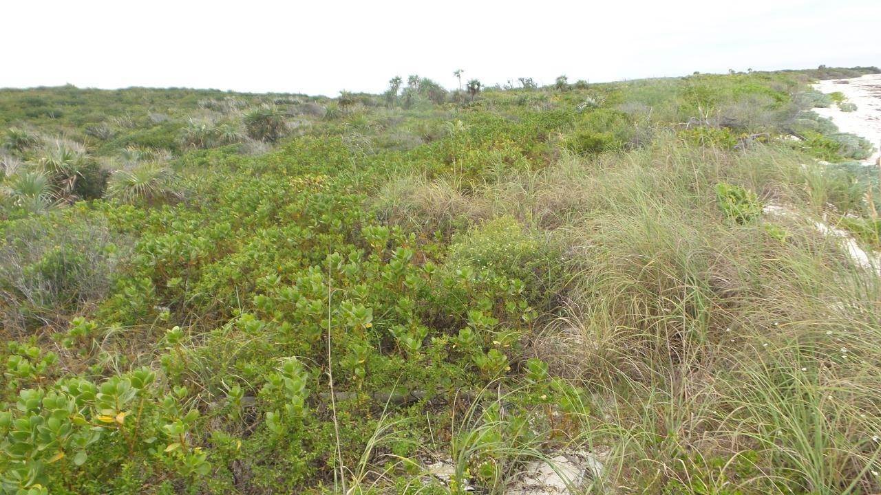 12. Private Islands for Sale at Other Abaco, Abaco Bahamas