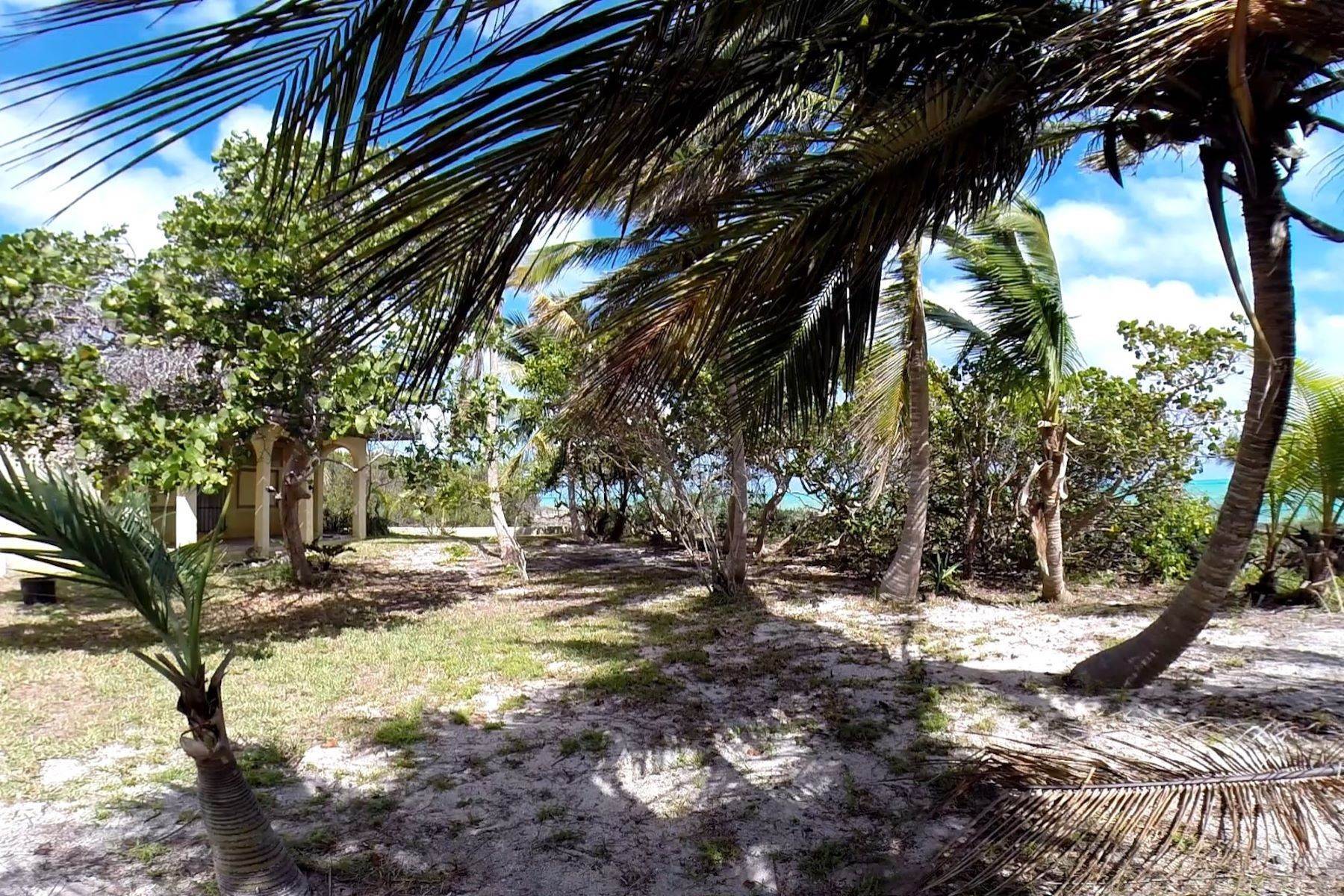 11. Private Islands for Sale at Swain's Cay, Private Island off Andros Mangrove Cay, Andros Bahamas
