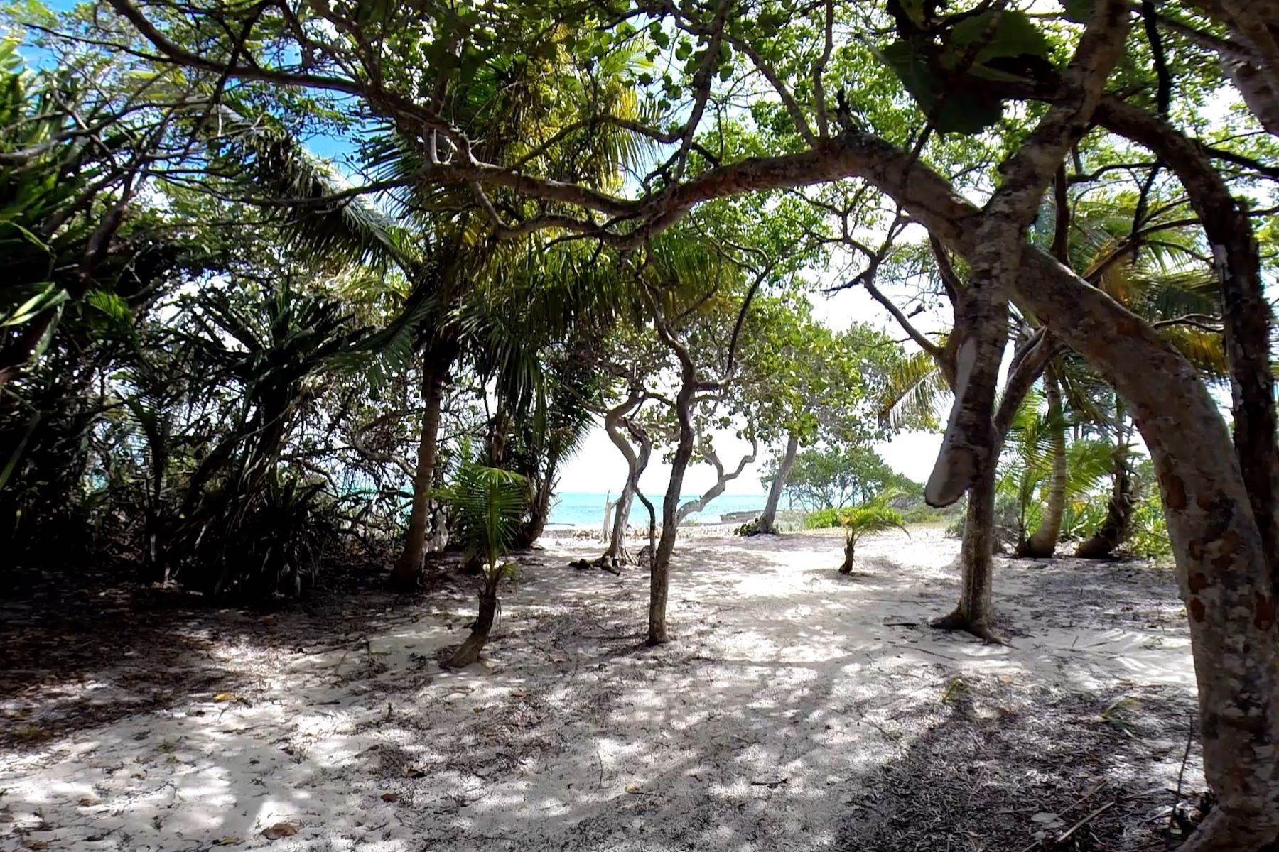 12. Private Islands for Sale at Swain's Cay, Private Island off Andros Mangrove Cay, Andros Bahamas